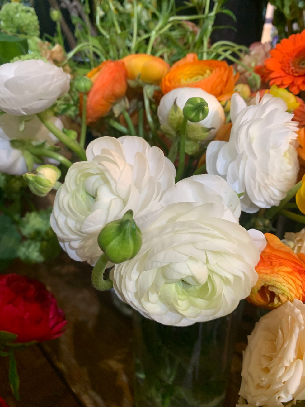 Ranunculus are one of my favorite flowers of all time - but tough to grow!