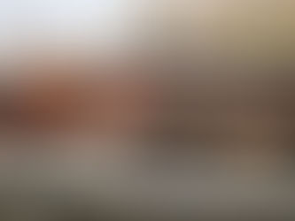 [DISSERTATION] Le fonctionnement du régime parlementaire en France (1815-1958)