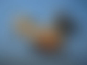 MMA karma dövüş sanatları kafes içinde mücadele eden iki sporcu - Dövüş Rehberim