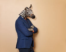 AdobeStock_249331589.jpeg