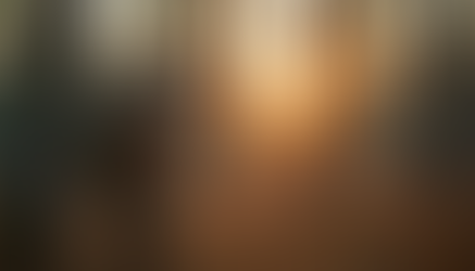 Conseils pour une chasse à l'ours réussie