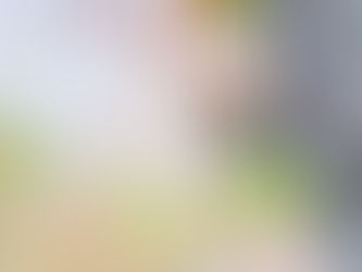 小さな猛禽モズ