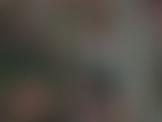 紅葉にクマタカ