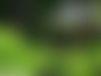 写真展のお知らせ