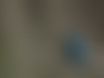 期待しましょう!