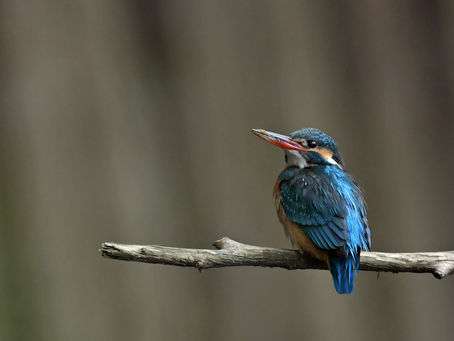 期待しましょう!