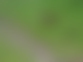 お母さんと一緒