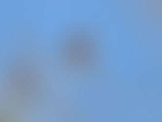 まだまだです。