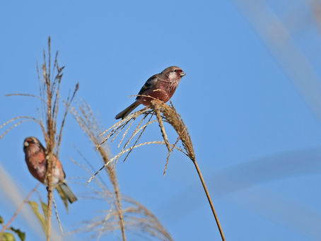 まだまだです。