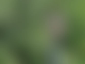 久しぶりなのに!残念・・・です。