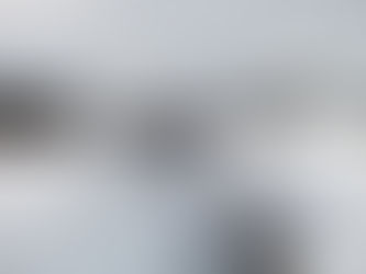 大雪になりました