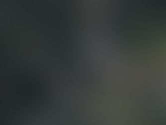 このポイントにも