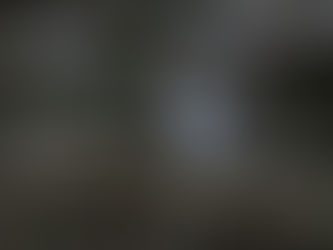 白い妖精に会った!