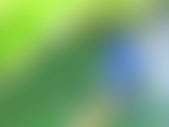 オオルリ