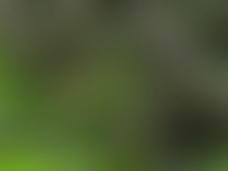 この春の初撮り