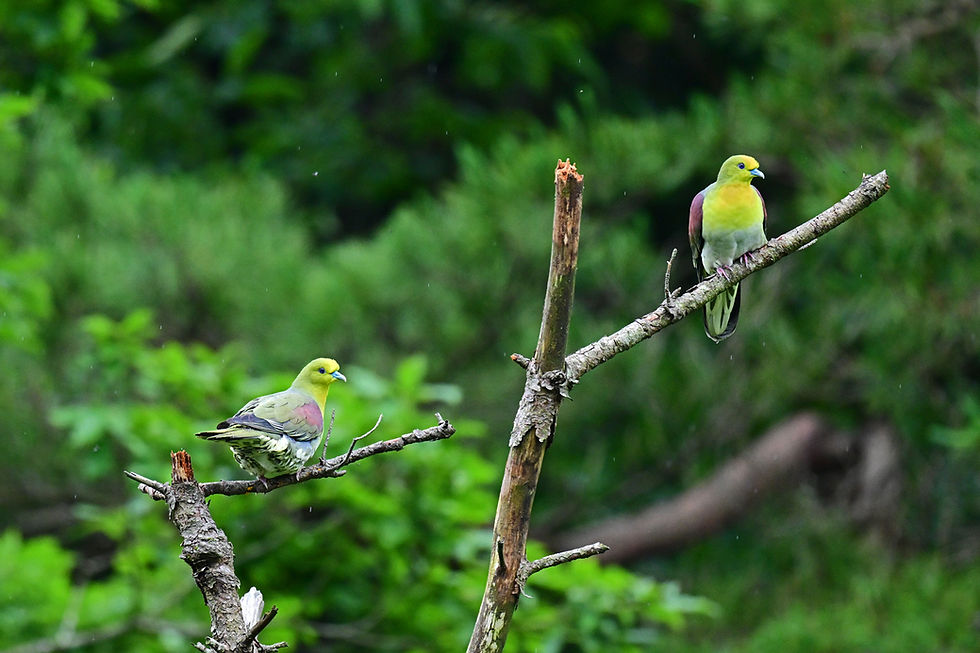 DSC_7123web1500