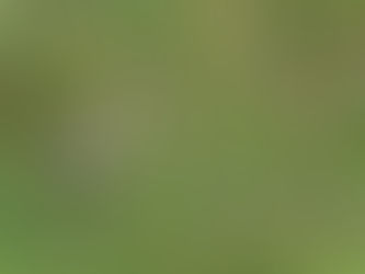 いつもの河口で