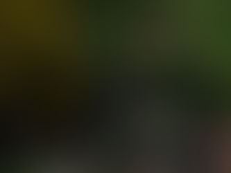 そろそろお別れ