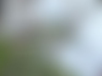 お陰様で今年も撮れました。