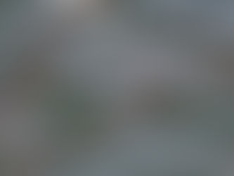 久しぶりの遭遇!!