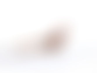 雪上に現れたのは・・・