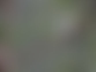 3週間ぶりの出会い