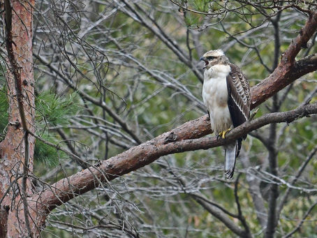 3週間ぶりの出会い