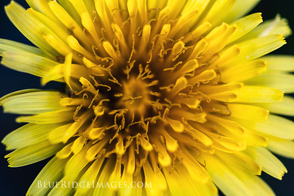 Everything You Need To Know About IM Ketamine Treatment