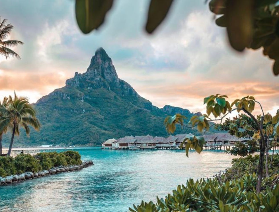 French Polynesian Heavensake Sake & Wine Event