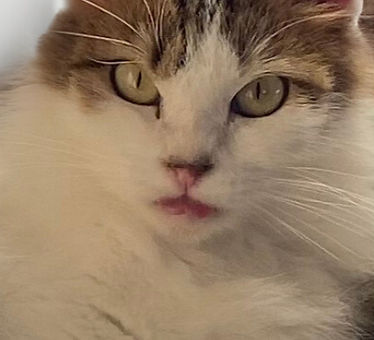 Untitled (1248 x 702 px)_edited.jpg