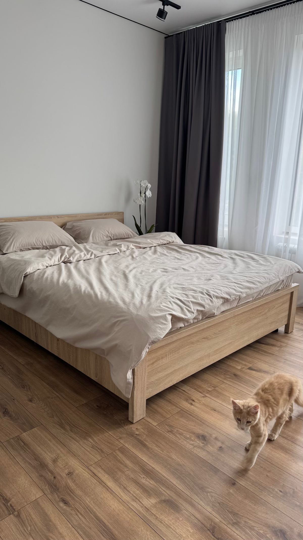 Комплект постільної білизни, варена бавовна, колір льон