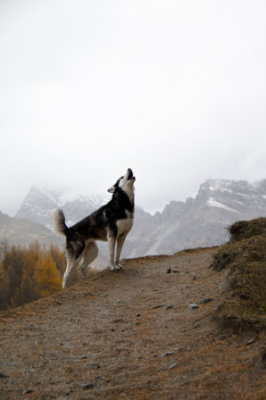 IMG_5948 Kopieowz.jpg