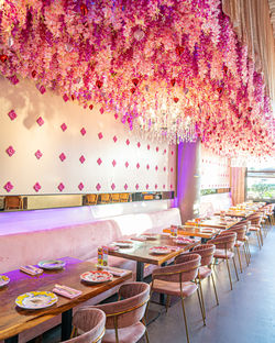 132bf0a14c3927-DV365844648