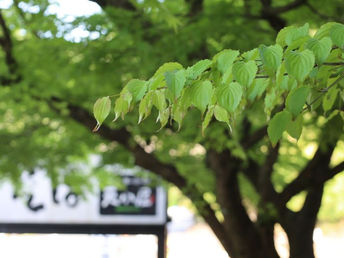 ちょっと肌寒い日におすすめです