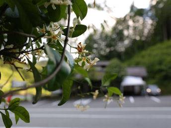 気になっていたあのお寺へ行ってみた