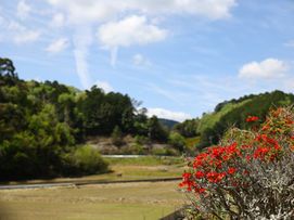 季節の始まりと終わり