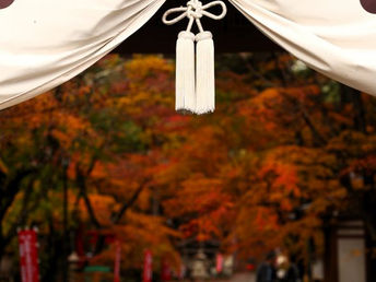 一年を振り返る時間に必要な景色