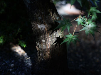 集うことが必然だったと感じた昨日
