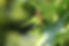 3B4A9193_800.jpg