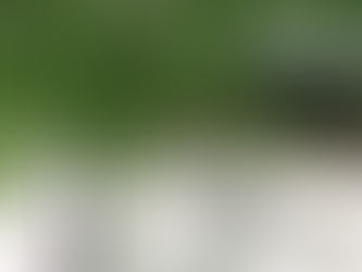 台風の動向がますます気になる