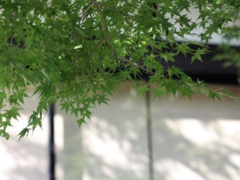 台風の動向がますます気になる