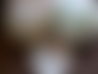 ギャラリー一新