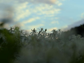 9月は大人の夏休み