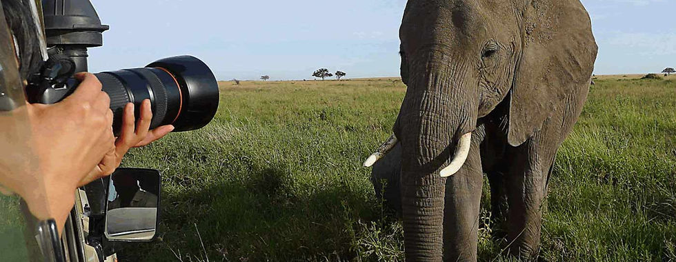 Finest Safari Tours