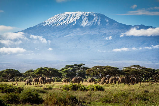 Mt. Kilimanjaro - Trekking Expedition
