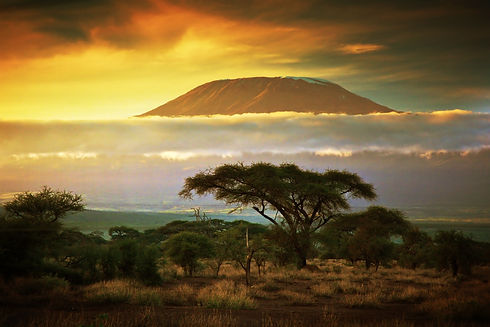 Kilimanjaro Route