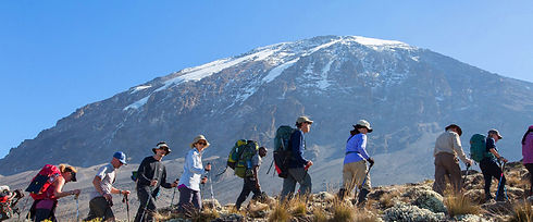 Arrive at Kilimanjaro