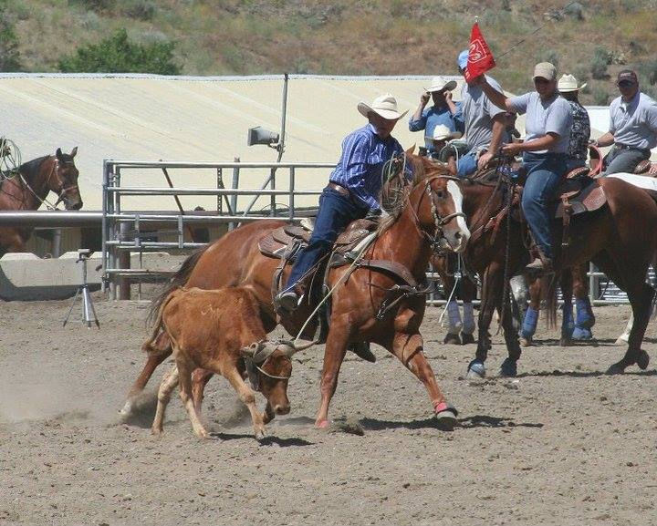 Appleatchee Riders Roping Division.jpeg