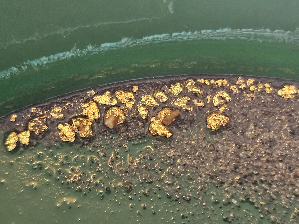 Thumbnail: Gold nuggets and pickers in a gold pan.