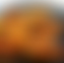 Thai Red Curry Shrimp